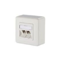 1309120002-E  - Datenanschlussdose reinweiss 2xRJ45 E-DATModul Cat.6 8/8(8)AP, 1309120002-E - Aktionsartikel