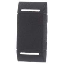 L4911N  - Wippe neutral 1mod ANTHRAZIT L4911N - Aktionspreis