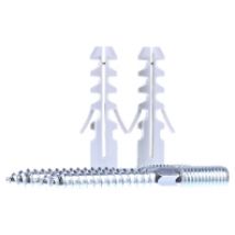 BS M10 PAS  - Befestigungsset 2 Schrauben+Dübel BS M10 PAS