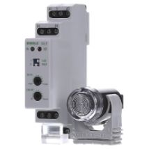 DÄ-F 565 19  - Dämmerungsschalter mit Fernfühler DÄ-F 565 19