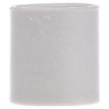 00581.000000  - D-Haltefutter D II in D III 00581.000000