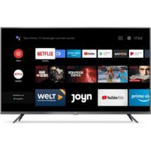 Telewizor XIAOMI L43M55ASP 43' LED 4K Android TV cena, opinie, dane techniczne | sklep internetowy Electro.pl