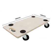 Plateau roulant 75 x 45 cm 200 kg RONDY