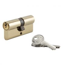 Cylindre de serrure 30 x 40 mm THIRARD