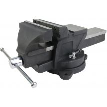 Etau fonte 125mm FISCHER DAREX