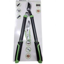 Lot coupe-branches secateur