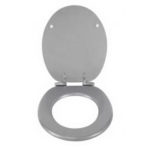 Abattant de WC Argent frein de chute