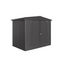 Abri de jardin en métal Europa 3.33 m² gris foncé Taille 3 BIOHORT