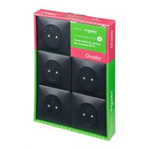 5 prises affleurantes 2P+T complète anthracite - Ovalis SCHNEIDER ELECTRIC
