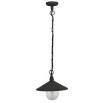 Suspension d'éclairage extérieur col de cygne anthracite 60W Peak