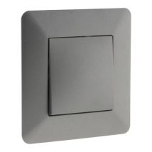 Interrupteur poussoir titanium Artezo