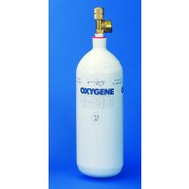 Bouteille rechargeable d'oxygène 500 l CAMPING GAZ