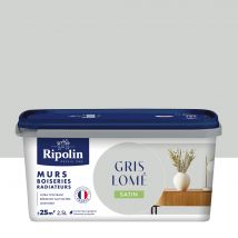 Peinture murs, boiseries et radiateurs gris lome satin 2,5L RIPOLIN
