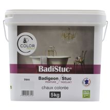 Badistuc fumee Gris Clair 5kg COLOR FRANCE