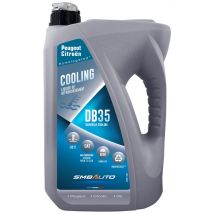 Liquide Refroidissement STELLANTIS 4L