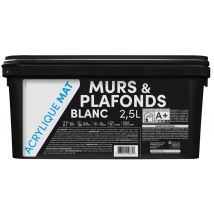 Peinture intérieure Murs et Plafonds Acrylique Mat blanc 2.5L TDP