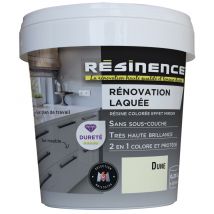 Résine de Rénovation Laquée dune 250 ml RESINENCE