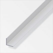 Cornière aluminium argent 10 x 10 x 1 mm 1 m ALFER