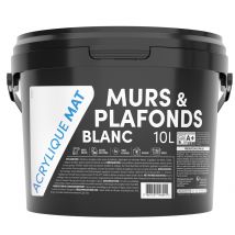 Peinture intérieure Murs et Plafonds Acrylique Blanc MAT 10 L TDP