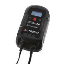 CHARGEUR AUTO 12/24V 12A