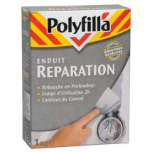 Enduit de réparation en poudre 1 kg POLYFILLA