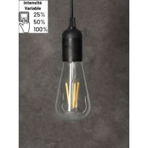 Ampoule LED EDISON filament clairs 6W 900 lumens dimmable blanc chaud - ARLUX