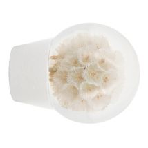 Embout déco fleure sèche à visser en bois diam 28 mm Finition Blanc laqué - MOBOIS