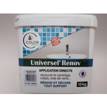 UNIVERSEL RENOV Bleu Gris BARYUM 10kg COLOR FRANCE