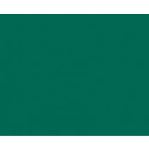 Adhésif décoratif uni mat green cedar 2 x 0,675 m VENILIA