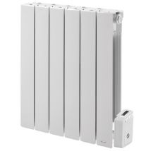 Radiateur électrique à fluide caloporteur Pisa 1000w DELONGHI