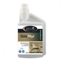Horse Master Dolo Phyt 450ml integratore per cavalli ad azione antiinfiammatoria