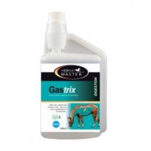 Horse Master Gastrix integratore protettivo mucosa gastrica per cavalli 946 ml