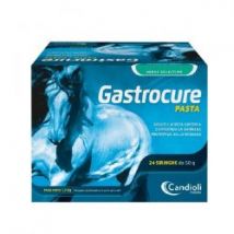 Candioli Gastrocure pasta 24 siringhe da 50g integratore gastroprotettore per cavalli