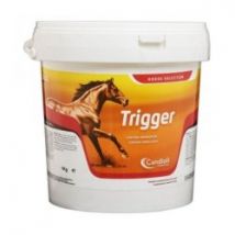 Candioli Trigger 1kg integratore di amminoacidi per cavalli