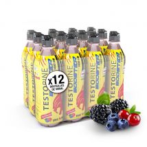Boisson testorine Endurance & Performance - Fruits rouges - Pack de 12 unités - Eric Favre