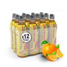 Boisson testorine Endurance & Performance - Orange - Pack de 12 unités - Eric Favre