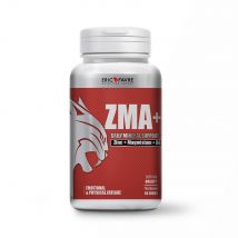 ZMA + 120 Gélules Endurance & Performance - - Eric Favre