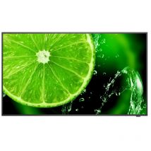 Nec multisync e498 tv led 49`` ips 4k ultra hd nero