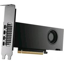 Nvidia rtx 2000 ada retail 12 gb gddr6 pci express x16 4.0 - 4 displayport