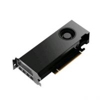 Nvidia rtx pro 2000 blackwell 16gb gddr7 4*mini-dp pci ex 5.0 16x - versione bulk