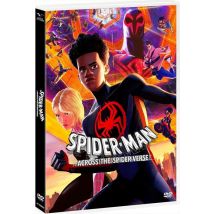 Sony Pictures - Spider-man: Across The Spider-verse (dvd+card)