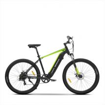 Argento - Mountain Bike Performance-nero/verde