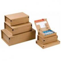 CF10PACCHI  CARTONE  MM460X310X160