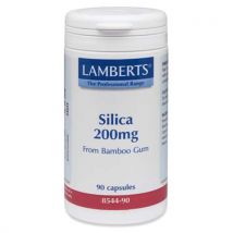 Lamberts Silica 200mg (90)