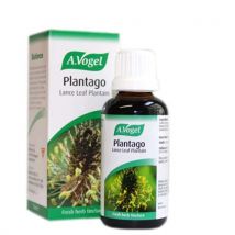 A. Vogel Plantago 50ml