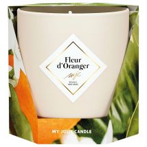 Bougie Parfumée Fleur D'oranger 45h - My Jolie Candle