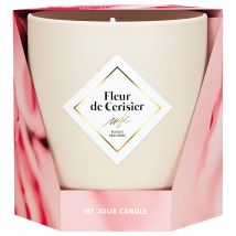 Bougie Parfumée Fleur de Cerisier - My Jolie Candle