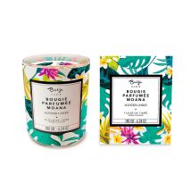 Bougie Parfumée Fleur de Tiaré 40h - Moana - Baïja Paris