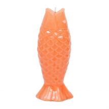 Bougie Poisson Corail 20h - Bord de Mer - Côté Table