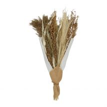 Bouquet Fleurs Séchées Limonium Brun H50cm Plantes Séchées - SEMA Design